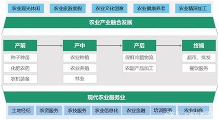 數(shù)字浪潮下的縣域經(jīng)濟(jì)新圖景 電子商務(wù)驅(qū)動創(chuàng)新與升級